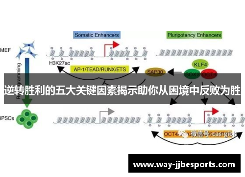 逆转胜利的五大关键因素揭示助你从困境中反败为胜 逆转胜利的五大关键因素揭示助你从困境中反败为胜