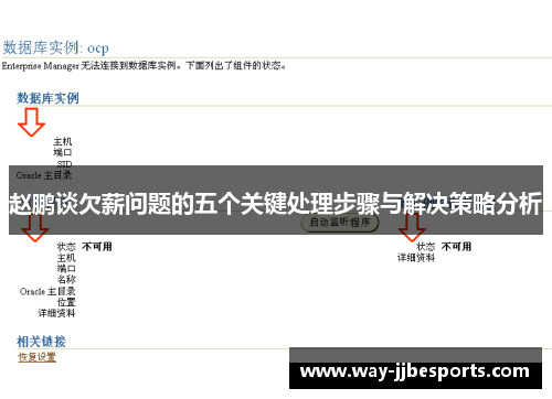 赵鹏谈欠薪问题的五个关键处理步骤与解决策略分析