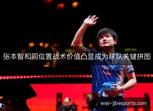 张本智和同位置战术价值凸显成为球队关键拼图 张本智和同位置战术价值凸显成为球队关键拼图